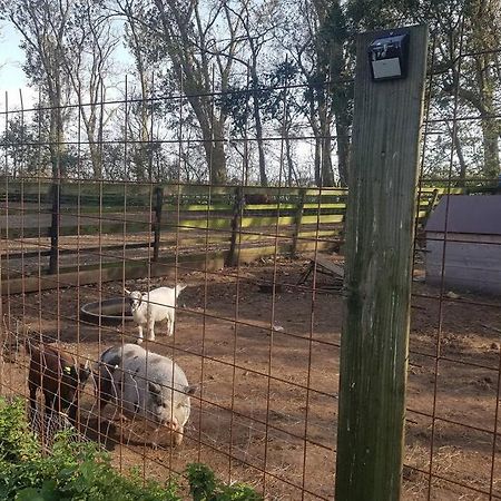 B&B Hoeve Dijkstal Logeren Op De Boerderij シント・マールテン エクステリア 写真
