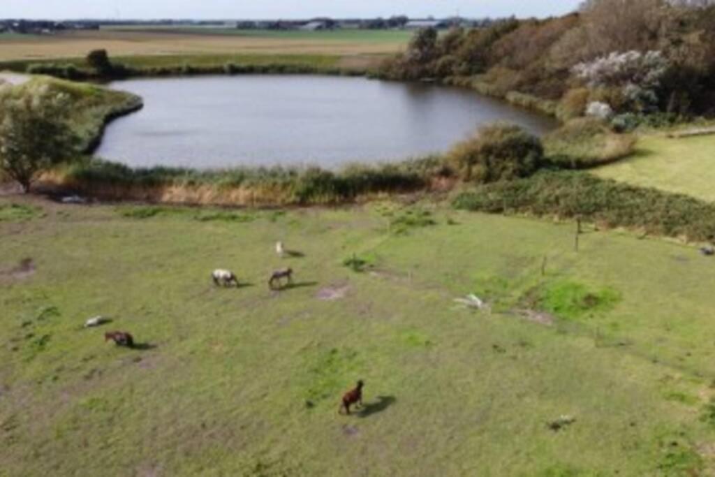 B&B Hoeve Dijkstal Logeren Op De Boerderij シント・マールテン エクステリア 写真