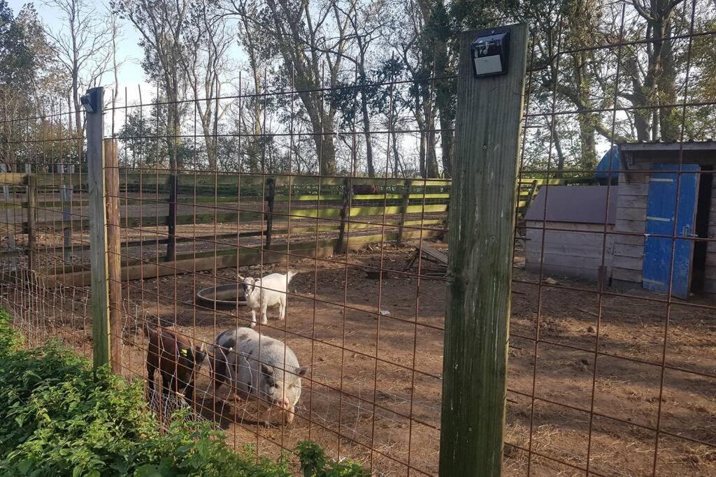B&B Hoeve Dijkstal Logeren Op De Boerderij シント・マールテン エクステリア 写真